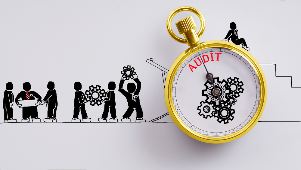 what goes in a nonprofit audit