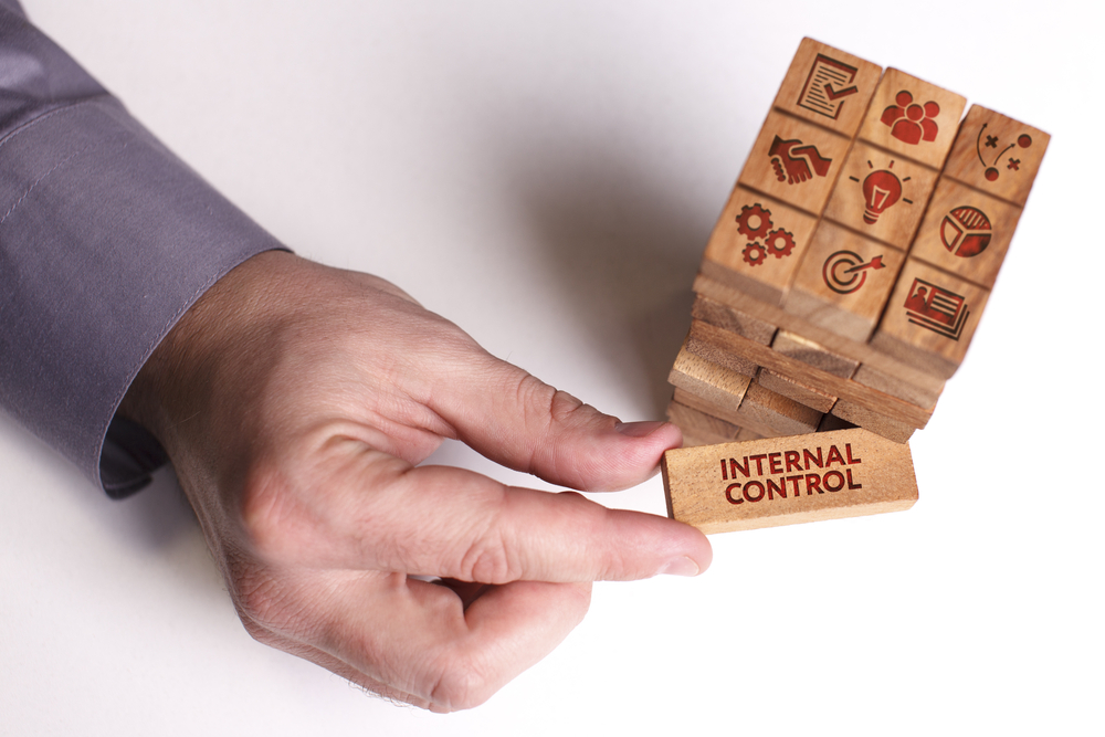 Internal Controls Made Easy for Nonprofit CEOs