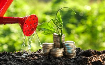Planning Your Nonprofit’s Sustainable Financial Management – A Guide to Strong Financial Leadership
