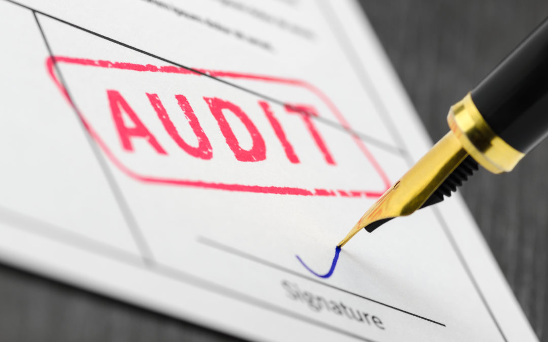How to Make Sure Your Auditor Loves You