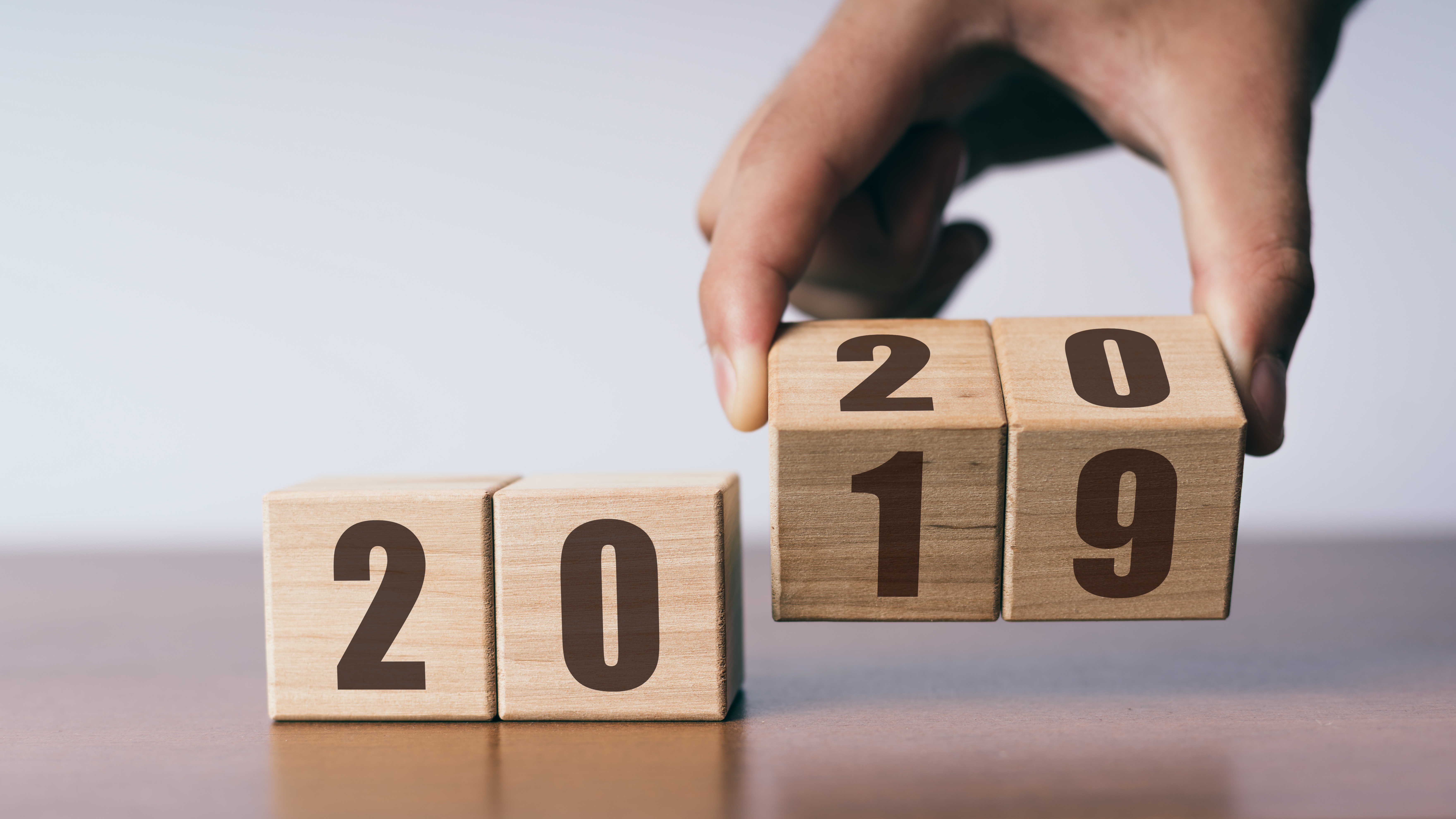 2019 review