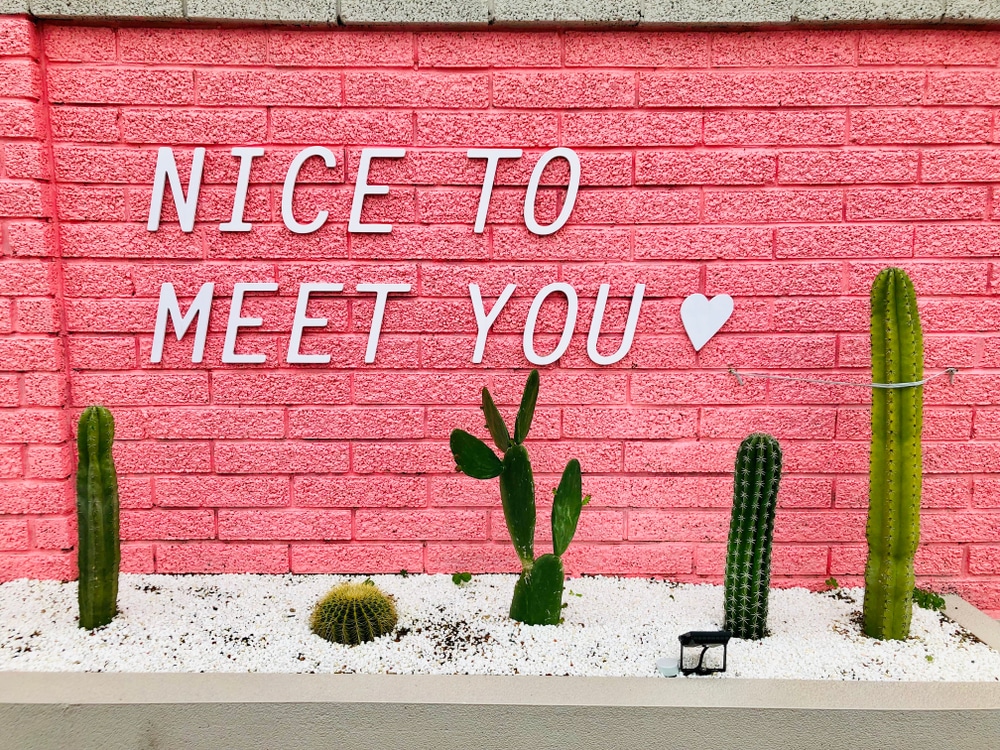 NiceToMeetYouWithPinkyWallAndCactusDecoration Networking for nonprofit accounting professionals